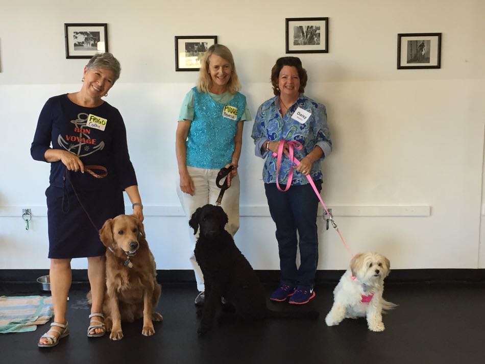 Three dogs and their handlers stand against the wall to have their photo taken.