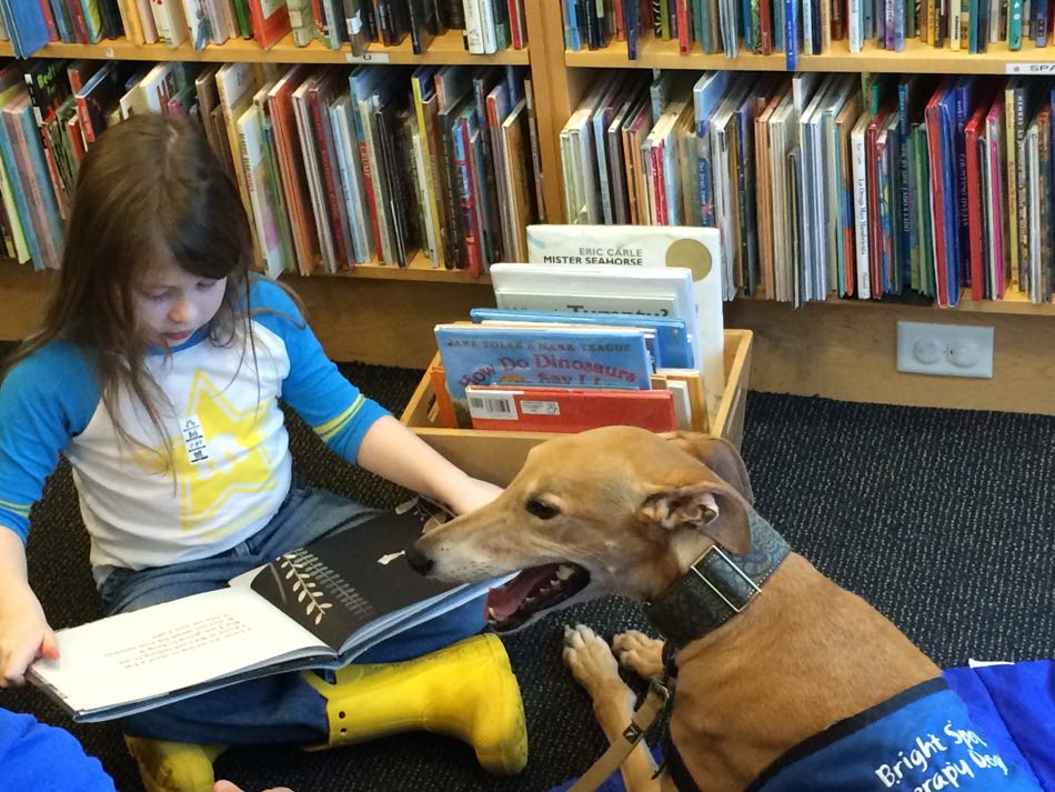 young child reads from a book to Max, a greyhound