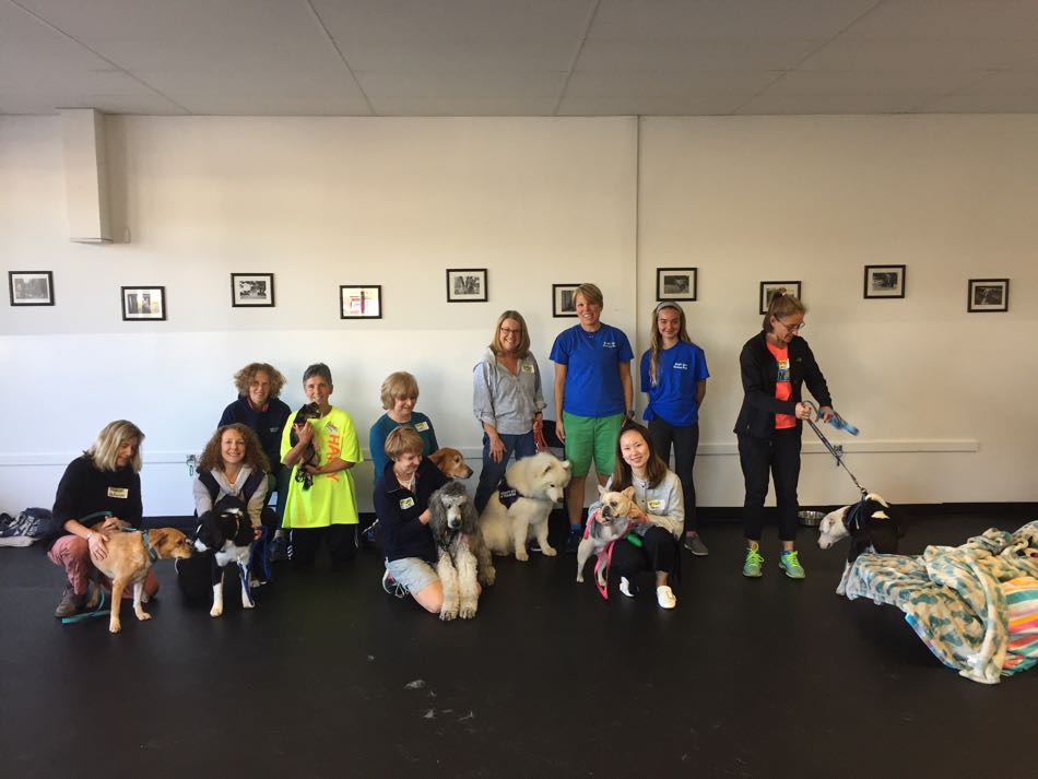 Nine handlers and their dogs stand against the wall posing for a class photo