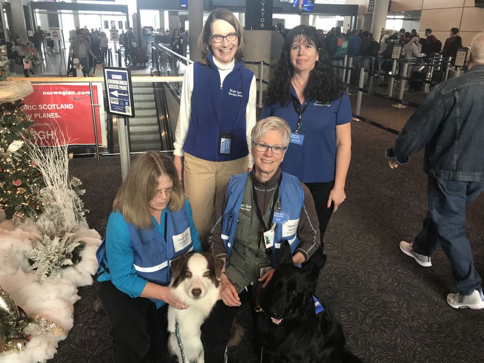 Two dogs sitting with handlers and two people standing behind.