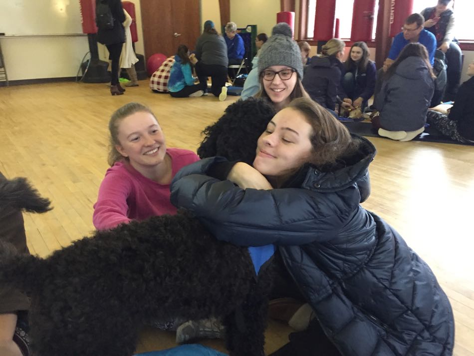 Betty a black labradoodle sits on the floor while getting a hug from a girl