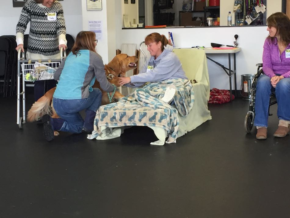 woman lying on chaises lounge covered with a blanket while a dog and woman sit next to her