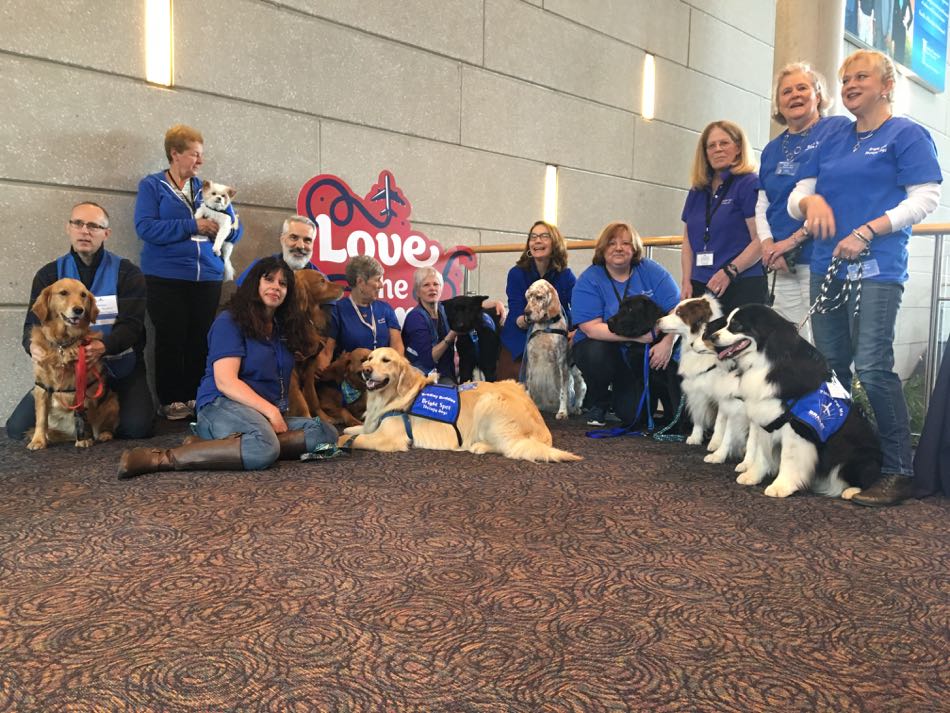 eleven dogs and handlers pose for photo