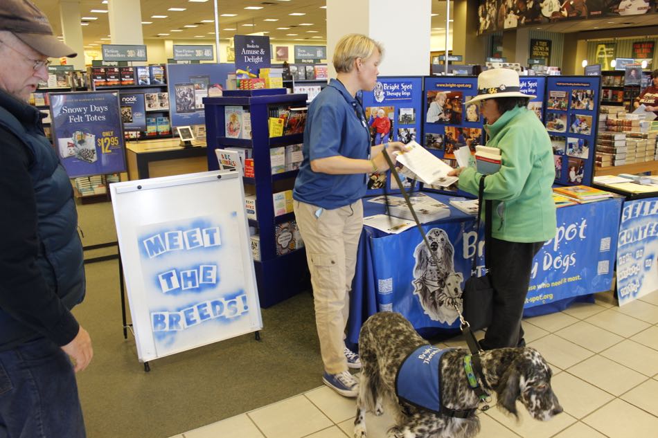 volunteer with dog hands information to a shopper