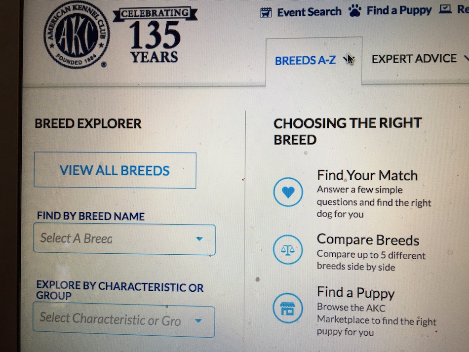 section on AKC website about all pure bred dogs.