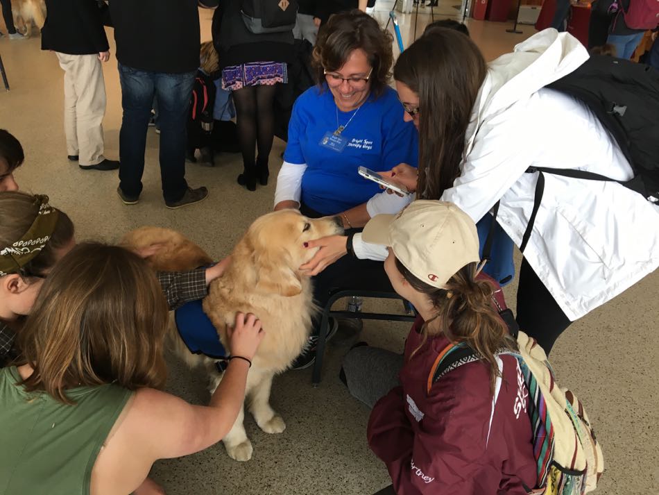 Therapy Dogs Make the Rounds at Area Universities During Exams | Say ...