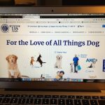 AKC website full of information about dogs